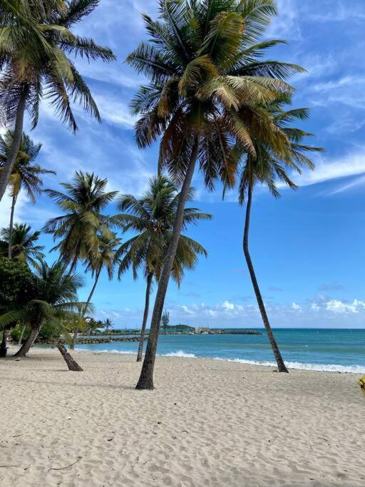 Le Calypso, Beachside Heaven لو جوسيير المظهر الخارجي الصورة